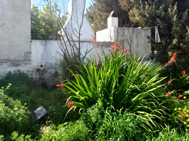 Old Stone House for sale in Sivas, South Crete