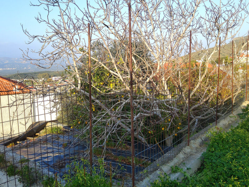 Old Stone House for sale in Pombia, South Crete