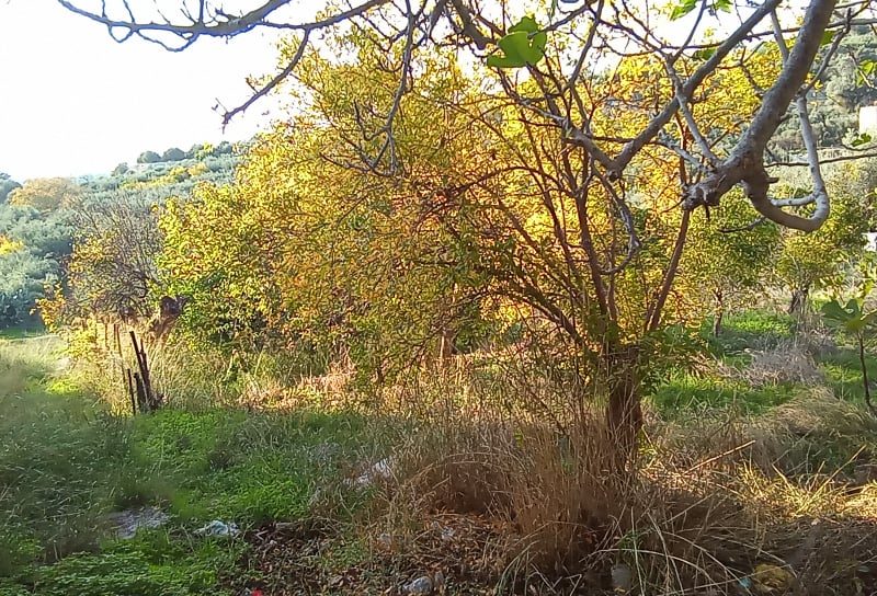 Old House sea view for sale in Galia, South Crete