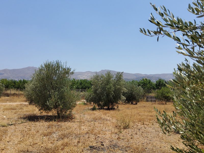 Country House for sale close to Petrokefali, South Crete