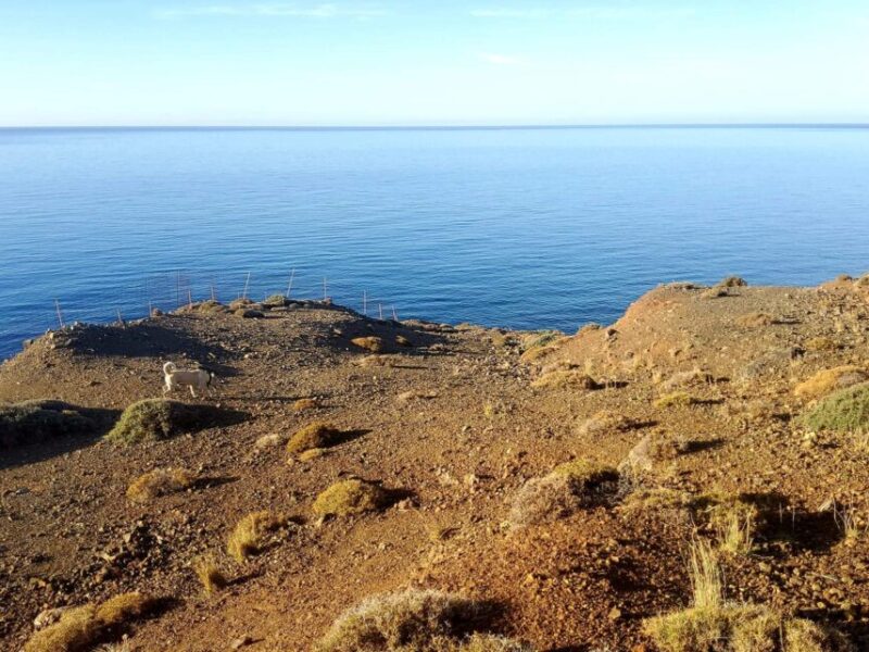Plot sea view for sale in Tsigounas, South Crete