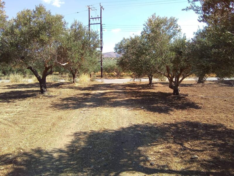 Plot for sale in Platanos, South Crete