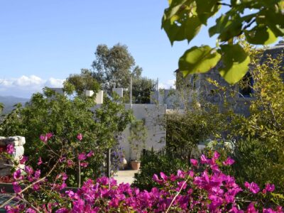2 Stone Houses for sale in Plora, South Crete