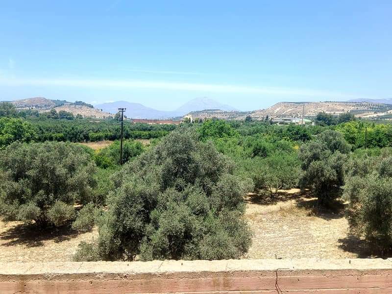 Building for rent main road to Mires, South Crete