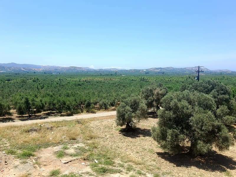 Building for rent main road to Mires, South Crete