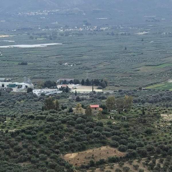 Complex of 3 Country Houses for sale, South Crete