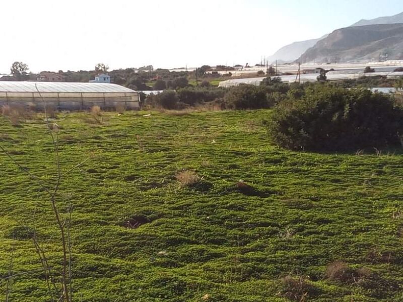 Big Plot sea view for sale in Kokkinos Pirgos