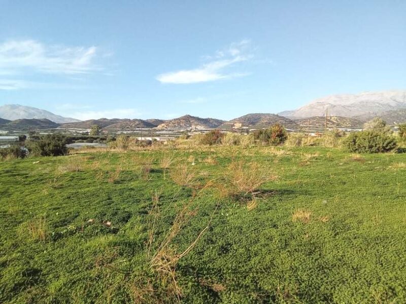 Big Plot sea view for sale in Kokkinos Pirgos