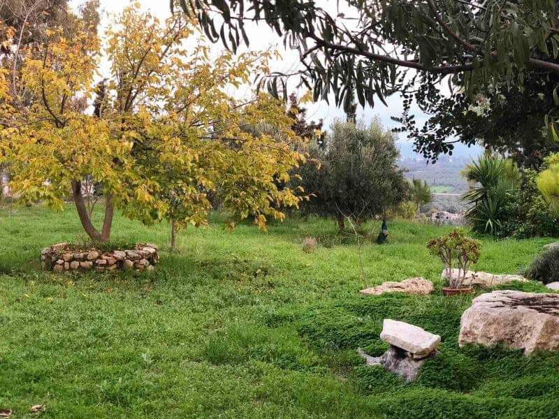 Complex of 3 Country Houses for sale, South Crete