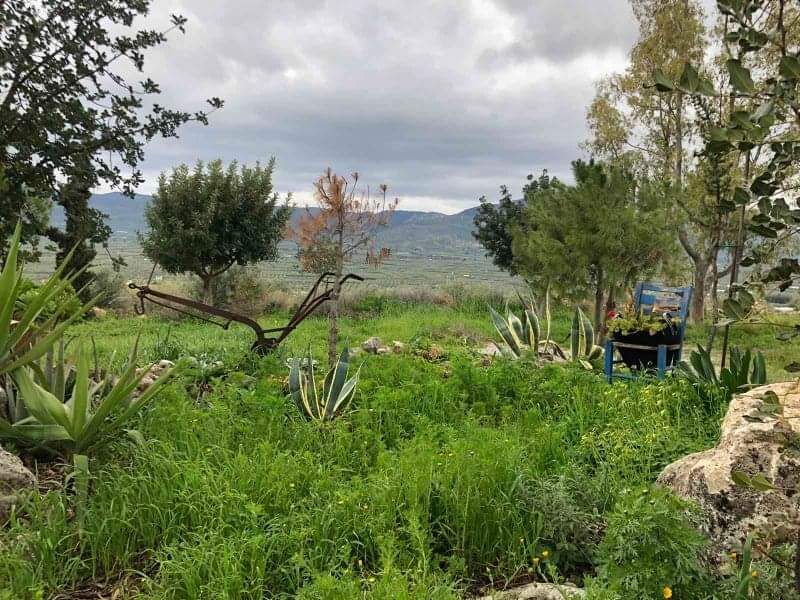 Complex of 3 Country Houses for sale, South Crete