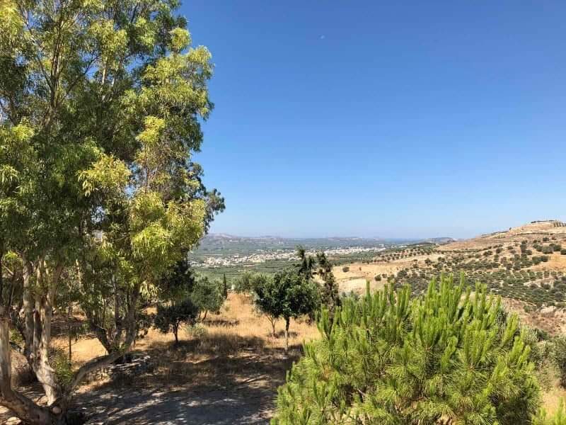 Complex of 3 Country Houses for sale, South Crete