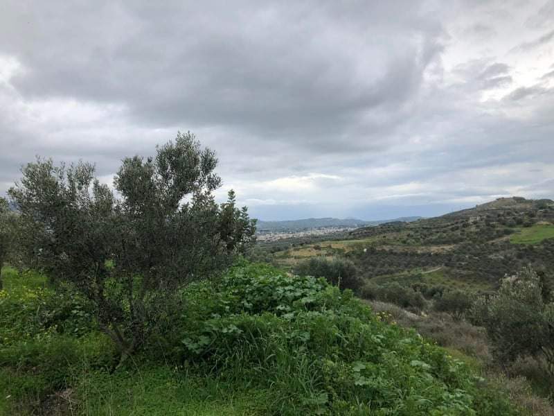 Complex of 3 Country Houses for sale, South Crete