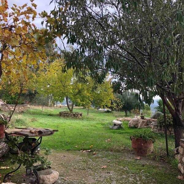 Complex of 3 Country Houses for sale, South Crete