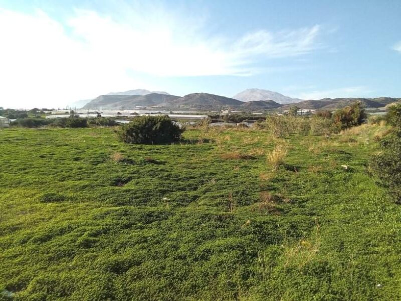 Big Plot sea view for sale in Kokkinos Pirgos