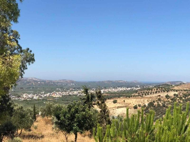 Complex of 3 Country Houses for sale, South Crete