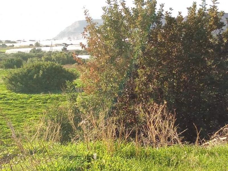 Big Plot sea view for sale in Kokkinos Pirgos