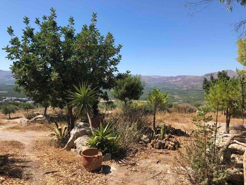 Complex of 3 Country Houses for sale, South Crete