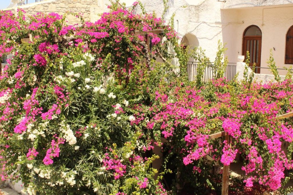 Dimokritos Apartment for rent Pitsidia, South Crete