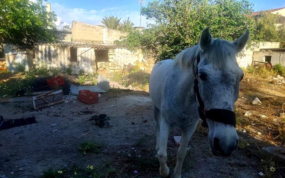 Old House for sale in Petrokefali, South Crete