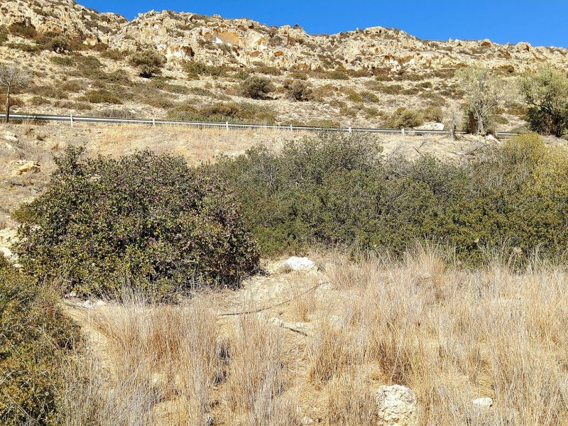 Plot for sale in Matala South Crete