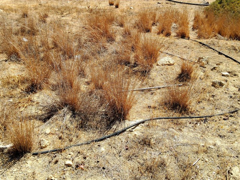 Plot for sale in Matala South Crete
