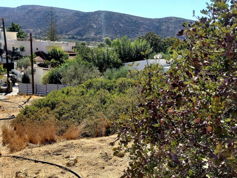 Plot for sale in Matala South Crete
