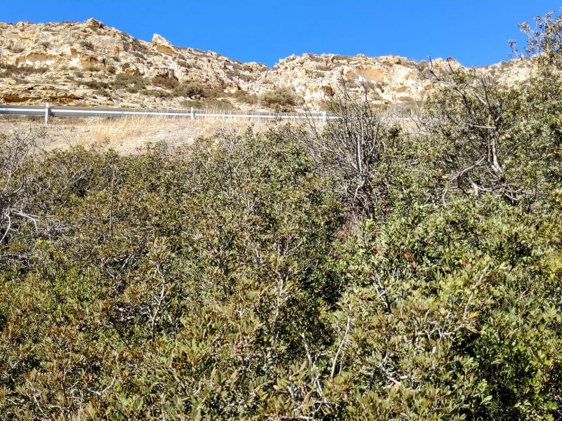 Plot for sale in Matala South Crete