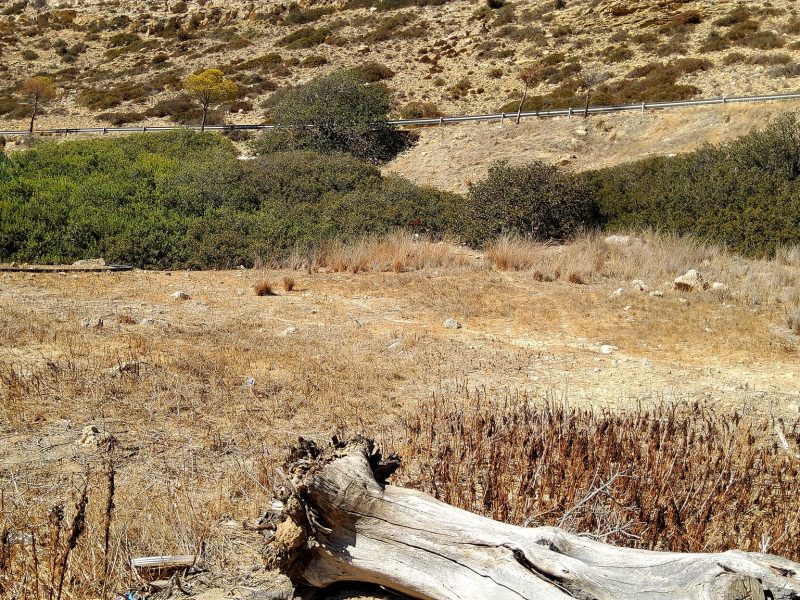 Plot for sale in Matala South Crete
