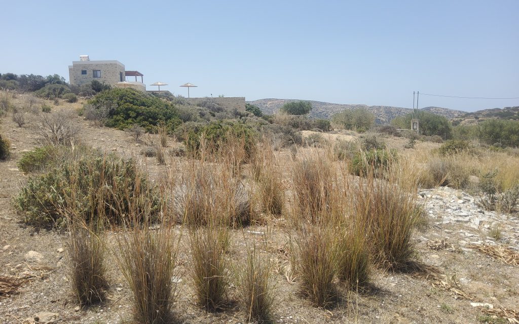 Plot for Sale between Pitsidia and Matala