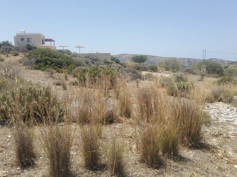 Plot for Sale between Pitsidia and Matala