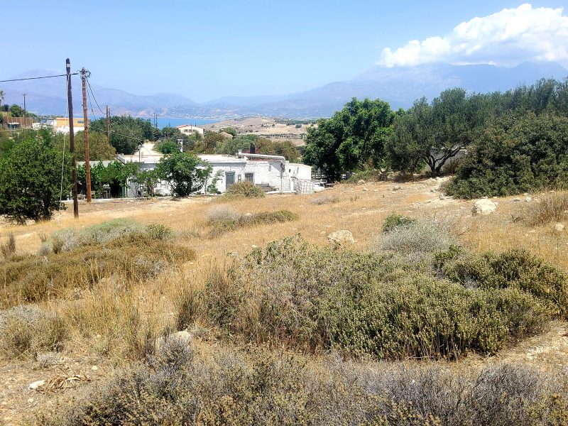 Plot for Sale between Pitsidia and Matala