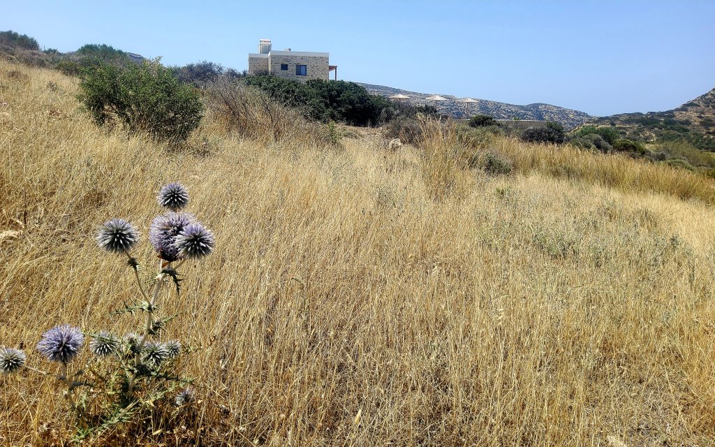 Plot for Sale between Pitsidia and Matala