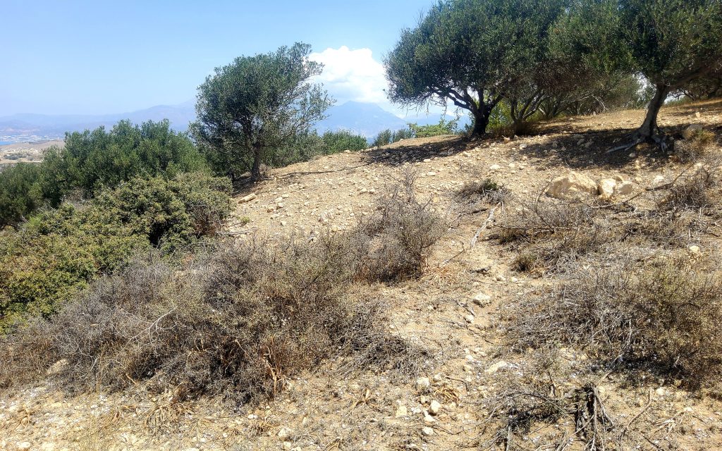 Plot for Sale between Pitsidia and Matala
