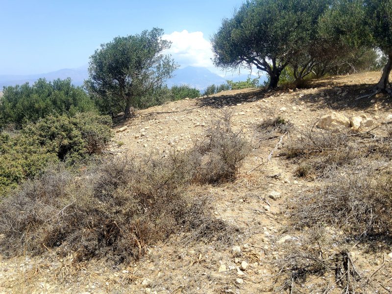 Plot for Sale between Pitsidia and Matala