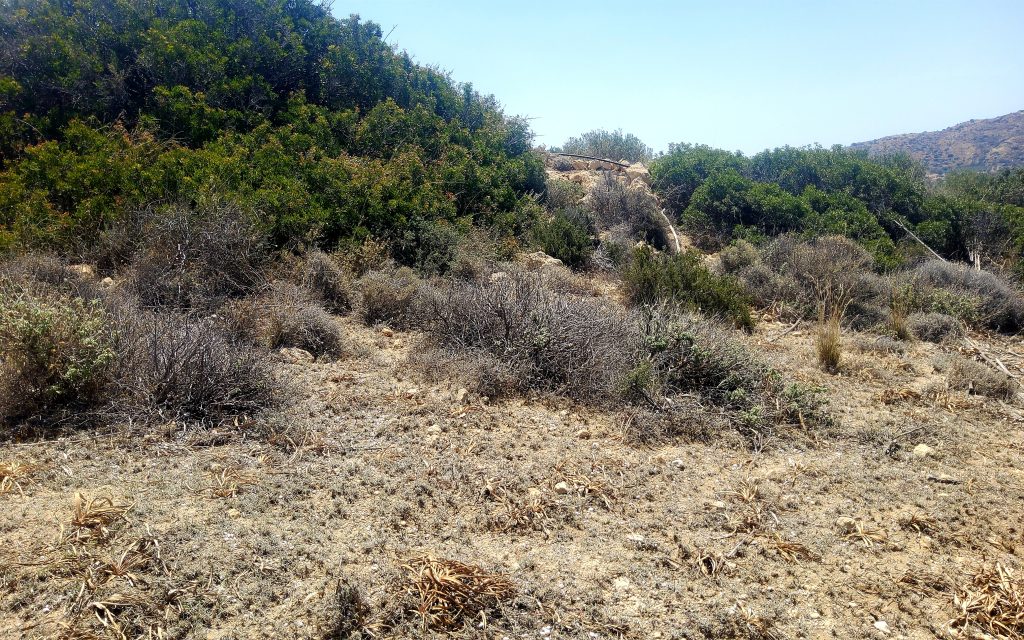 Plot for Sale between Pitsidia and Matala