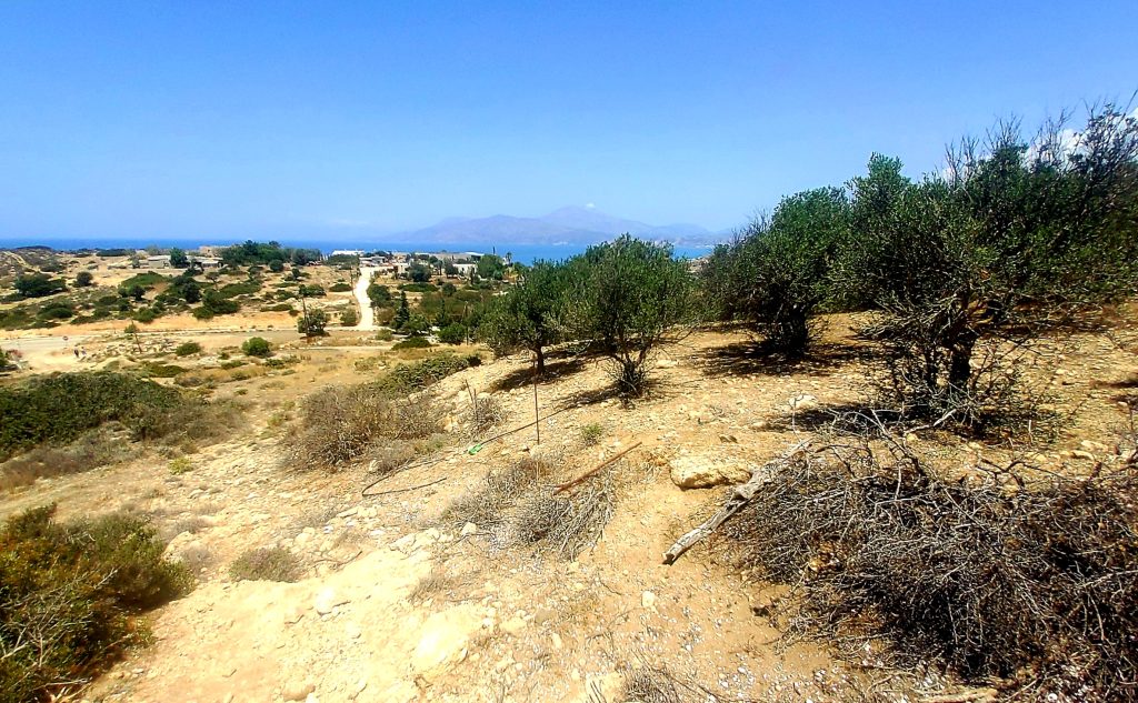 Plot for Sale between Pitsidia and Matala