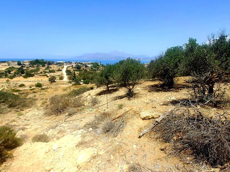 Plot for Sale between Pitsidia and Matala