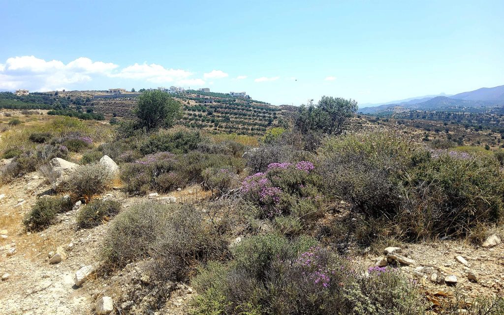Plot Sea View for sale in Kamilari, South Crete