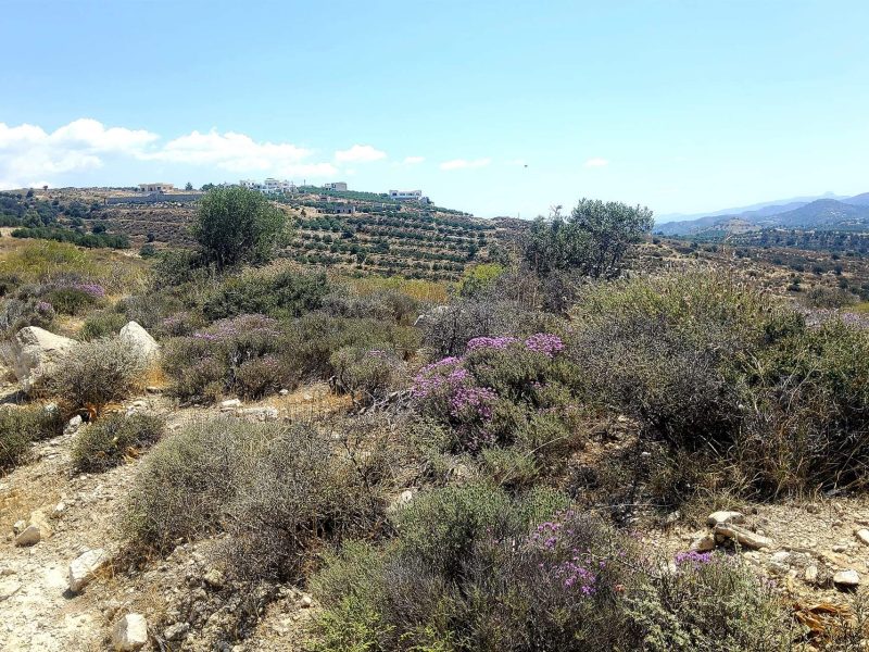 Plot Sea View for sale in Kamilari, South Crete