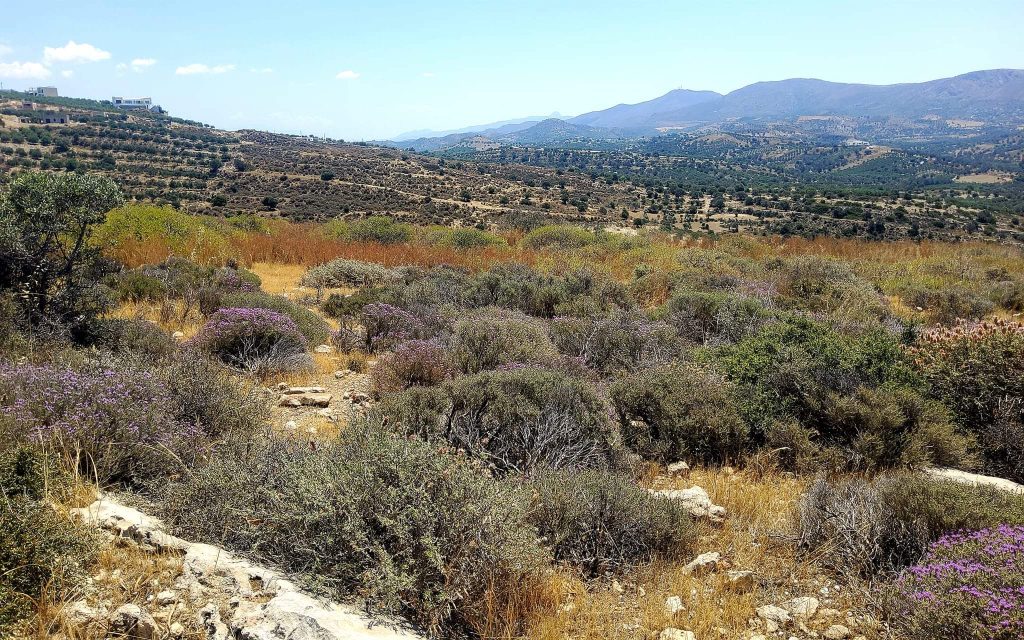 Plot Sea View for sale in Kamilari, South Crete