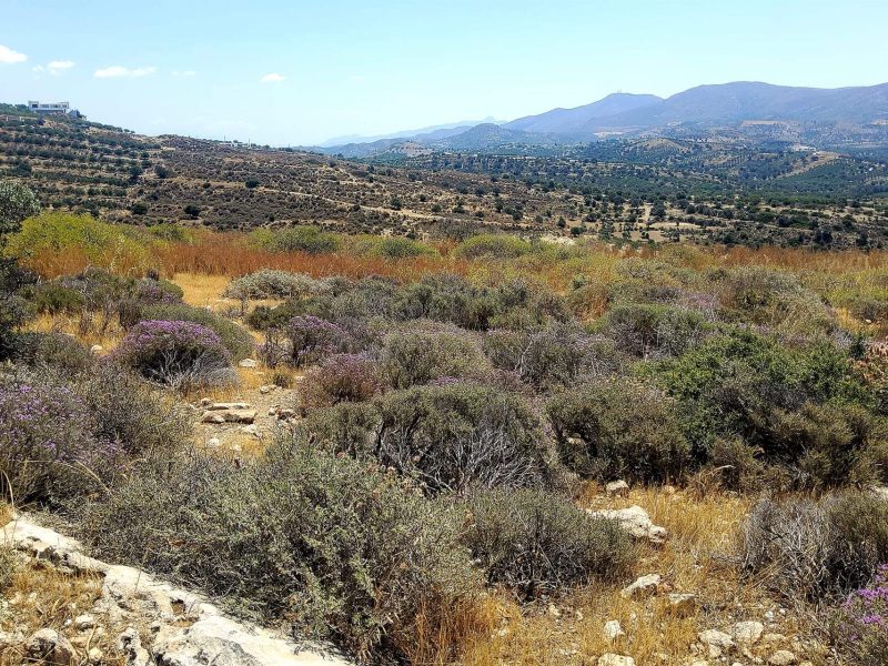 Plot Sea View for sale in Kamilari, South Crete