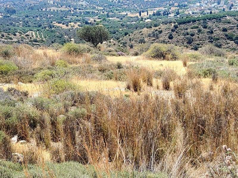 Plot Sea View for sale in Kamilari, South Crete