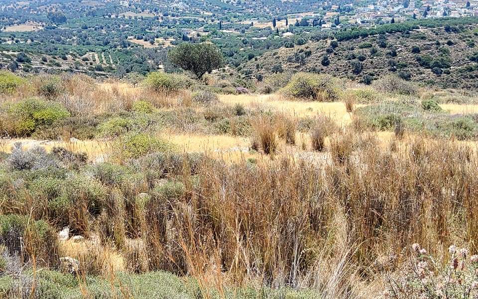 Plot Sea View for sale in Kamilari, South Crete