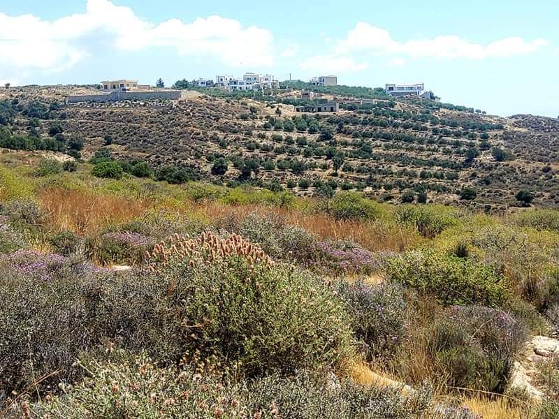 Plot Sea View for sale in Kamilari, South Crete