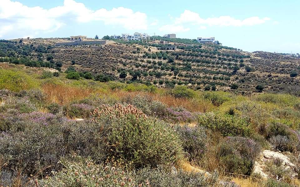 Plot Sea View for sale in Kamilari, South Crete