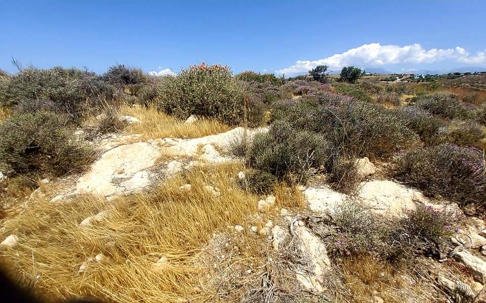 Plot Sea View for sale in Kamilari, South Crete