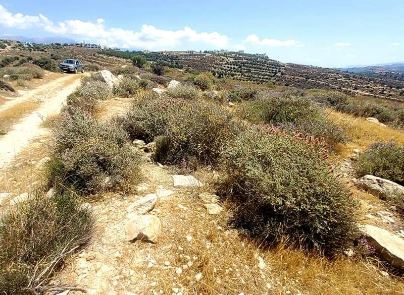 Plot Sea View for sale in Kamilari, South Crete