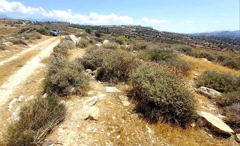 Plot Sea View for sale in Kamilari, South Crete