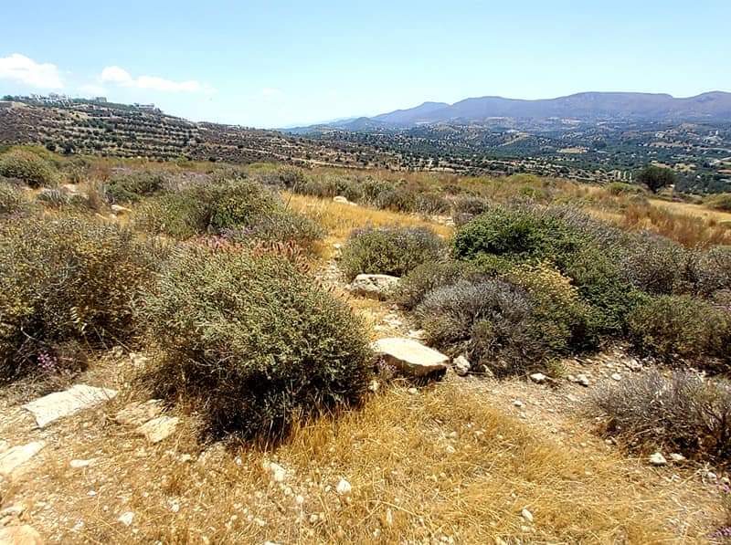 Plot Sea View for sale in Kamilari, South Crete