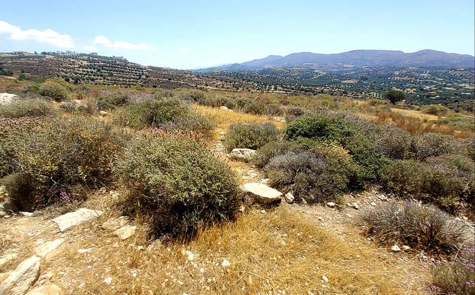 Plot Sea View for sale in Kamilari, South Crete